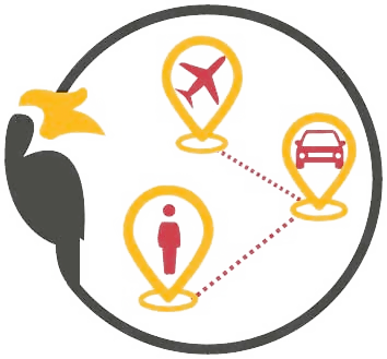 MCO Travel